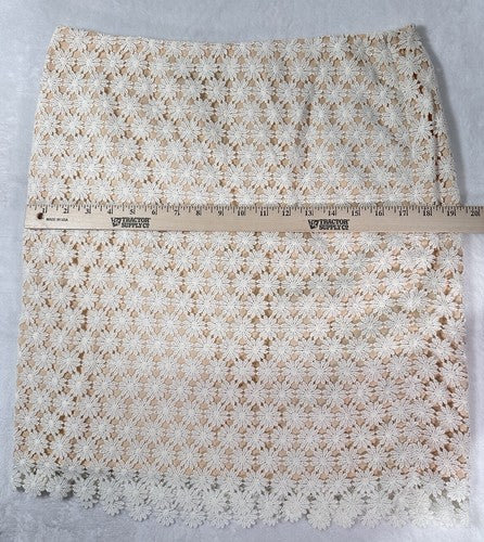 Talbots 10 Petite A-Line Skirt Floral Lace Overlay Knee Length Pink 10P