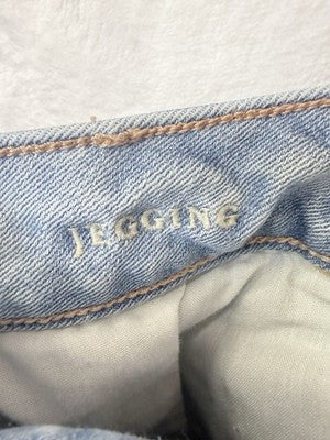 American Eagle Jeans 4 Womens Jeggings Light Blue Skinny