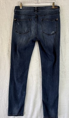 Anthropologie Jeans 29 High Rise Skinny Blue Pilcro And The Letterpress Womens