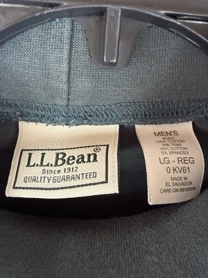 LL Bean Mock Neck Shirt Large Long Sleeve Knit Green Cotton Reg Item ID 0 KV61