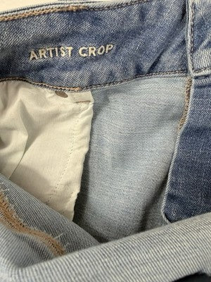American Eagle Artist Crop Jeans 20 Womens Blue