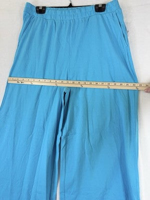 Gap Wide Leg Pants Large Womens Clothing Blue Pull On Heavyweight New NWT