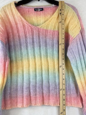 Freshman 1996 Sweater XL Pastel Rainbow V Neck Long Sleeve Knit Top Juniors Wool
