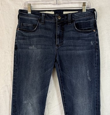 Anthropologie Jeans 29 High Rise Skinny Blue Pilcro And The Letterpress Womens