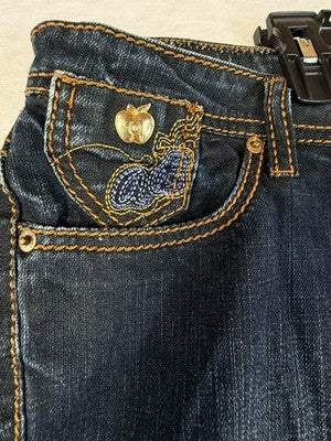 Vintage Apple Bottom Jeans 9/10 Embroidered Y2K Bootcut *FlawRead