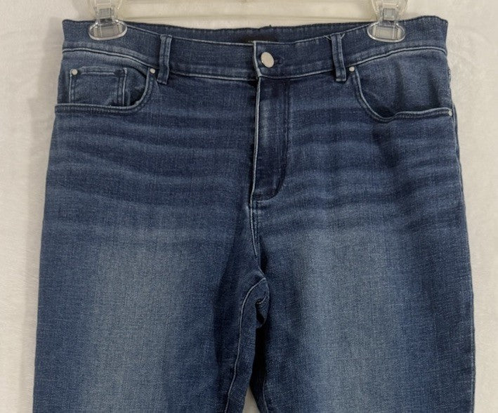 Ann Taylor Jeans 12 Blue Womens