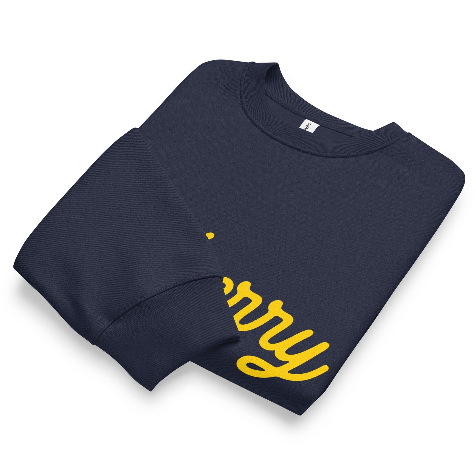 Dyberry Giddy – Oversized heavyweight sweatshirt NEW