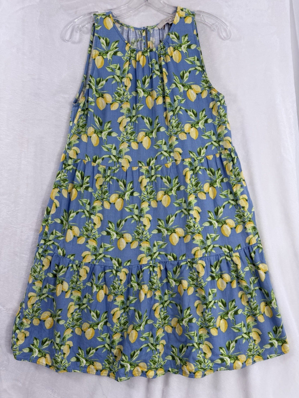 Ann Taylor Loft Dress Medium Linen Blue Lemons Print Sleeveless Shift Womens