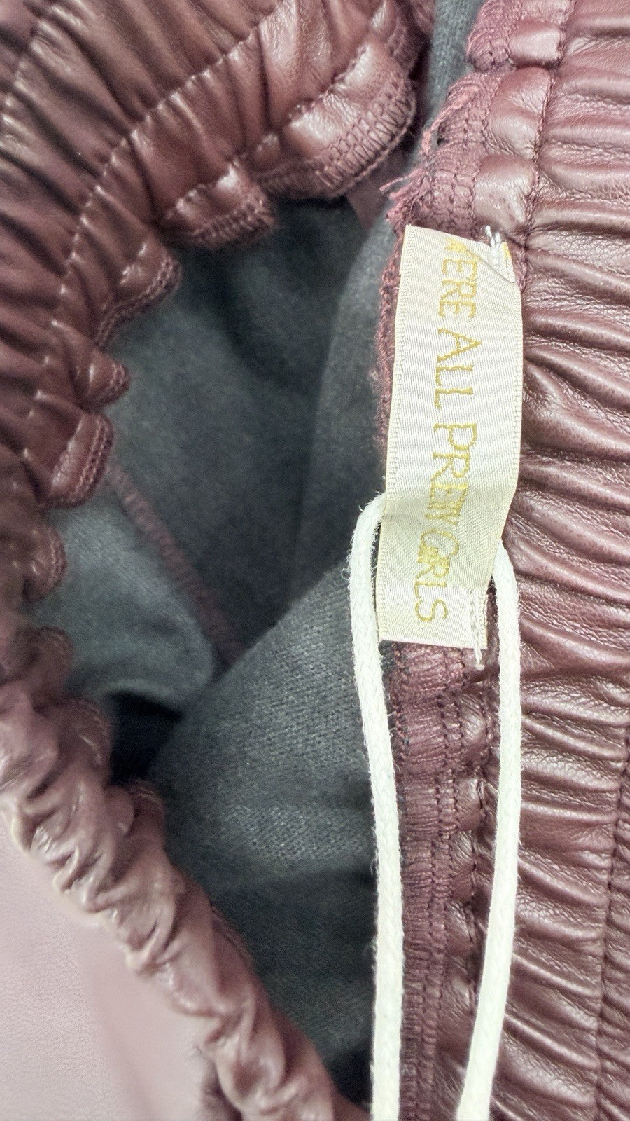 We’re All Pretty Girls Faux Leather Pants XS Burgundy Pull On Straight Leg New